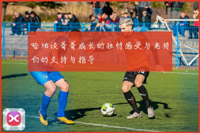 哈珀谈哥哥成长的独特感受与老将们的支持与指导