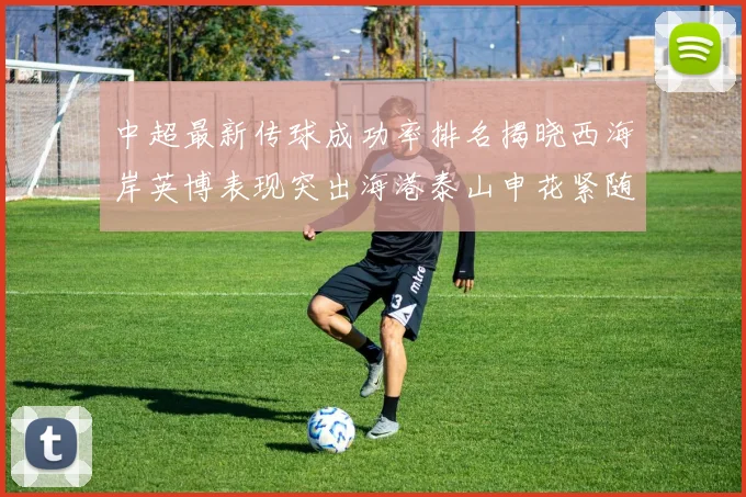 中超最新传球成功率排名揭晓西海岸英博表现突出海港泰山申花紧随其后